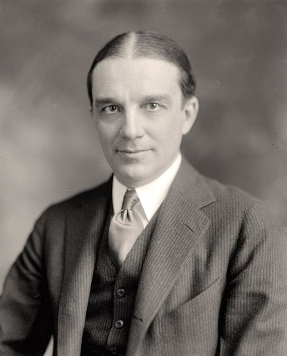 <p>- Industrialist, businessman</p><p>- Lawyer, diplomat</p><p>- Vice-chairman of the Dawes committee</p><p>- Head of the Young plan</p>