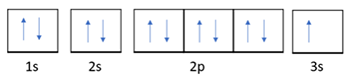 <p>The following orbital notation is for which element? (3 points)</p><ol><li><p>Na</p></li><li><p>He</p></li><li><p>F</p></li><li><p>O</p></li></ol><p></p>