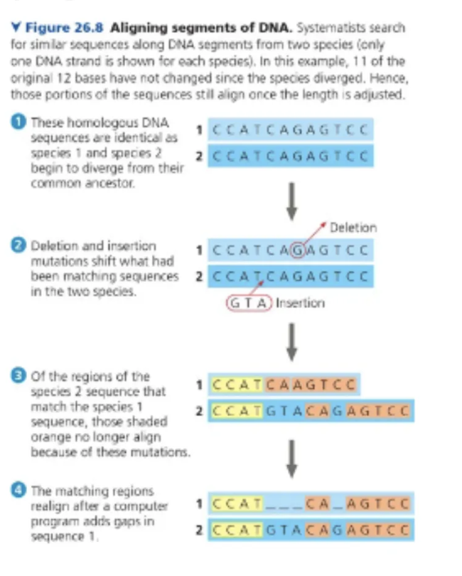<p>explain  </p>