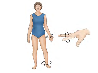 <p>Movement term </p>