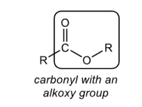<p>carbonyl with an alkoxy group</p>