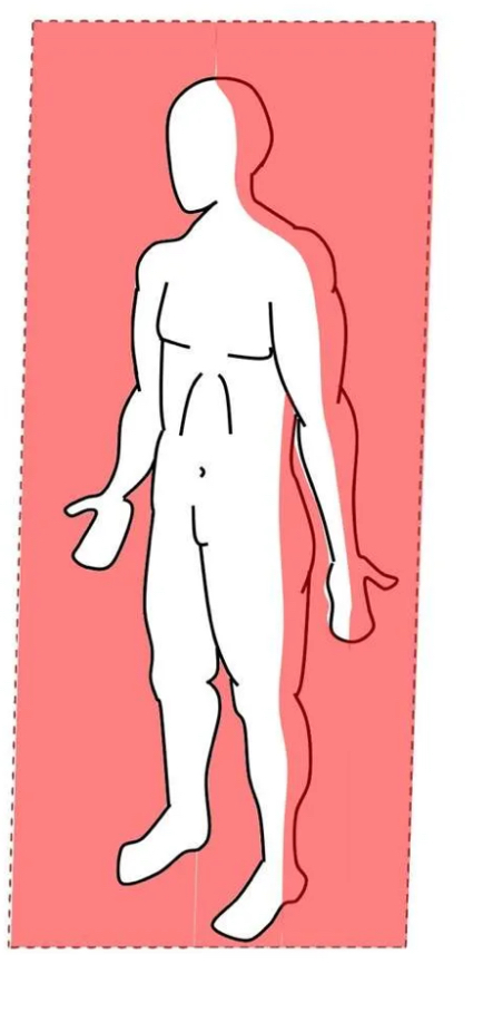 <p>Frontal </p>