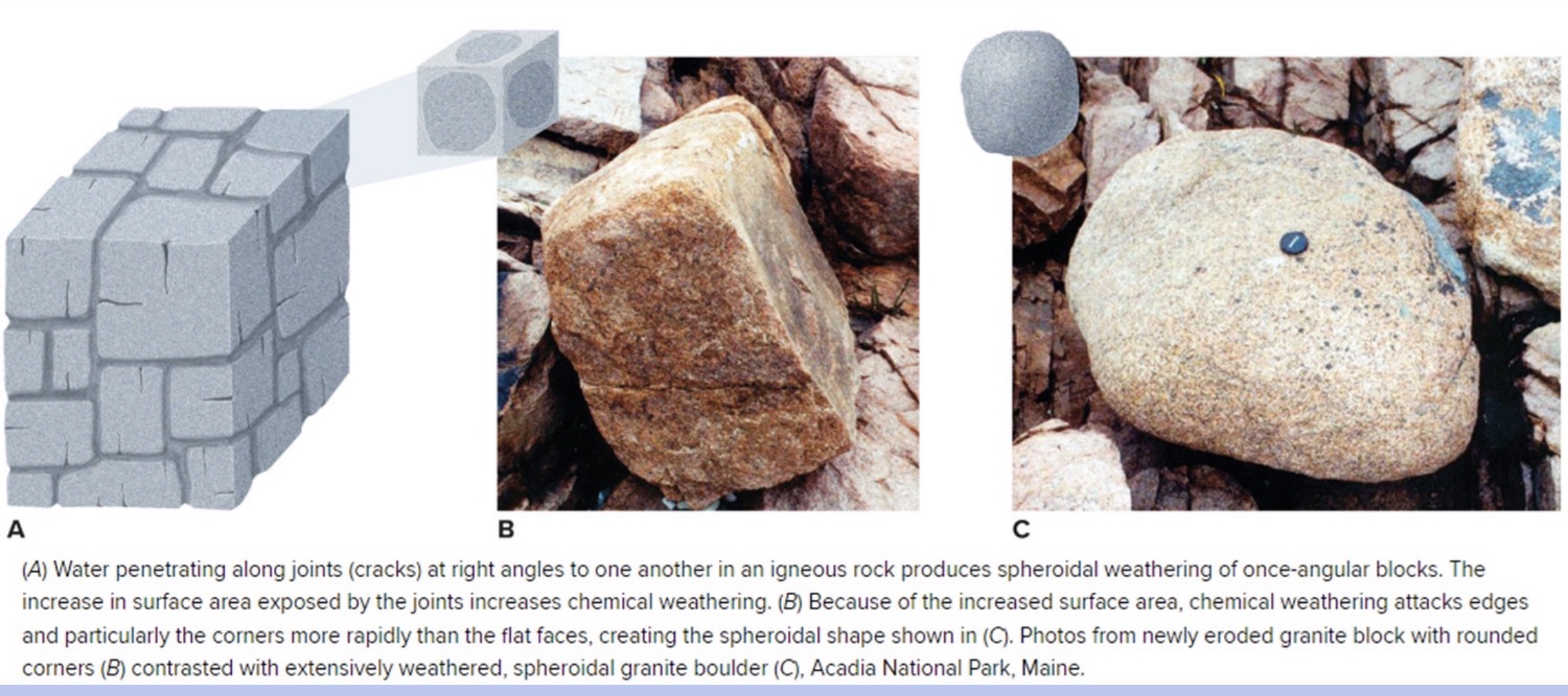 <p>A type of weathering that occurs where rock has been rounded by the weathering process, typically more at corners than edges.</p>