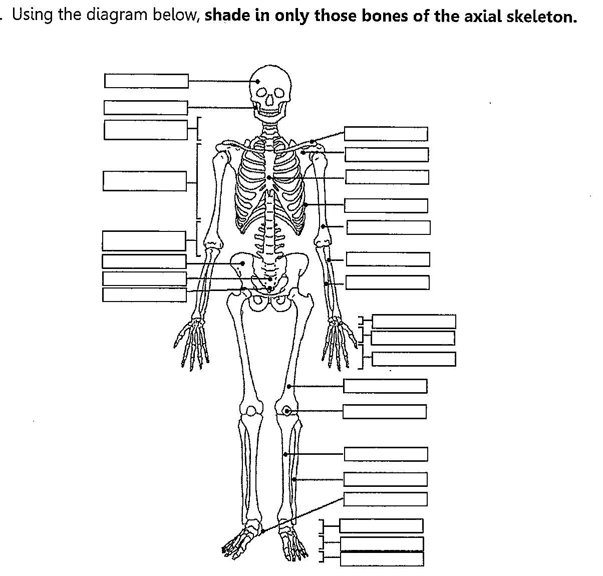 <p>Lable the diagram (Yes/No)</p>