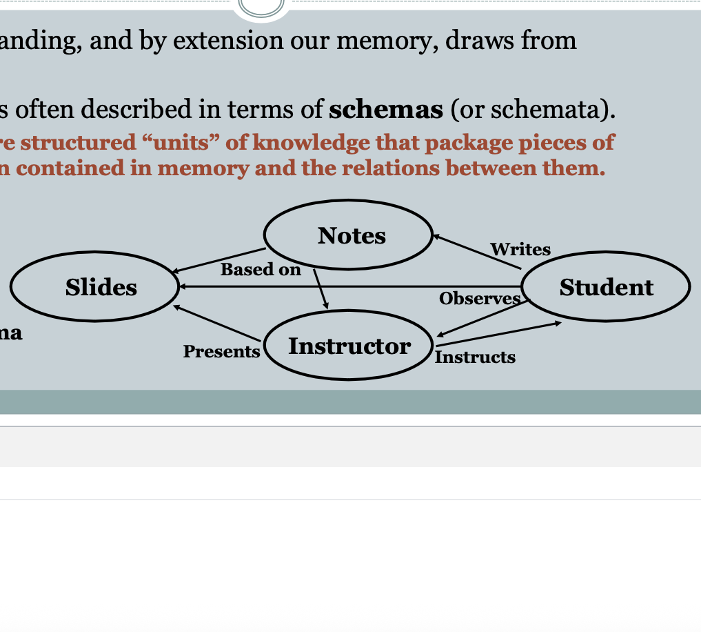 <p><span><span>Schemas</span></span></p>