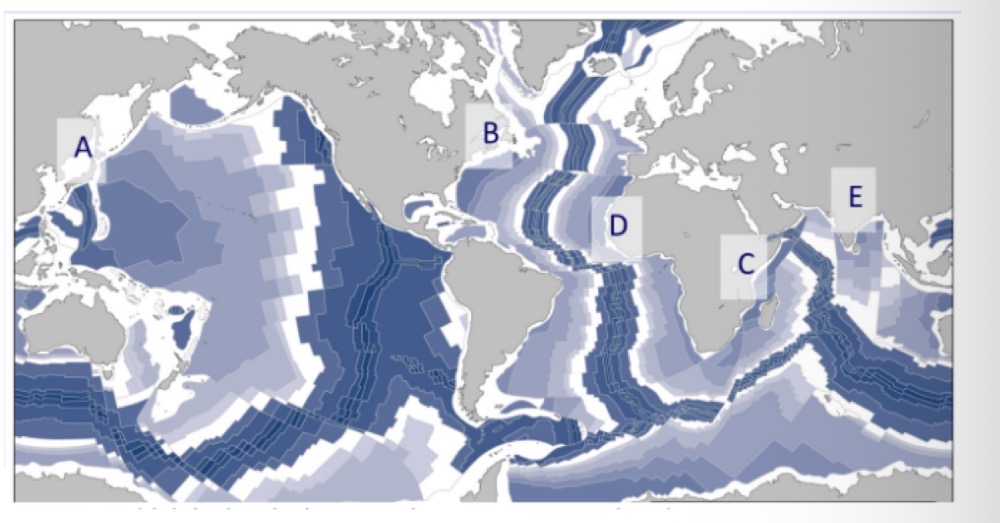 <p><strong>APPLY understanding of the Wilson Cycle to predict the locations of spreading and subduction on Earth both in the past and in the future.</strong></p><p>Which is the opening ocean on Earth today?</p>