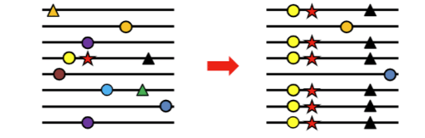 <p>• Very strong selection will remove all (or most) alleles except the 'fittest'</p><p>• We look across many individual for the 'signature of selection'</p><p>• This gene is 'swept' of diversity</p>