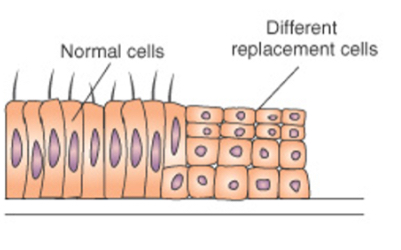 <p>This is an image of?</p>