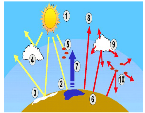 <p><span>1.The sun is the source of all radiation and energy coming to the Earth from space.</span></p><p><span>2.A part of the sunlight reaches the Earth surface and all its different landscapes: forests, oceans, deserts, savannah, cities, ice and snow</span></p><p><span>3.The Earth's surface does not take up all the sunlight, but sends a certain part of it directly back (reflection). In particular very bright surfaces like ice and snow are excellent reflectors (albedo).</span></p><p><span>4.Reflection does not only occur at the Earth surface. Some light is already sent back from the top side of clouds.</span></p><p><span>5.The uptake of the light (absorption) does not only take place at the Earth surface, but gas molecules and particles in the air absorb some sunlight. The portion of the sunlight reaching the Earth warms up the surface. The Earth sends this warmth back as infrared radiation.6.The Earth's surface warmed up by the sun is a source of heat radiation (long wave infrared radiation).</span></p><p><span>7. A bit of the energy is needed to evaporate water.</span></p><p><span>8.Some infrared radiation goes directly back to the space.</span></p><p><span>9.Clouds do not only reflect sunlight, they also absorb and reemit infrared radiation back to the Earth. A cloudy sky keeps the Earth warmer, like a blanket (part of the reason why deserts are cold at night are because of no clouds).</span></p><p><span>10.Finally there are greenhouse gases that absorb the infrared radiation given off. They keep the energy of this heat radiation near the ground.</span></p>