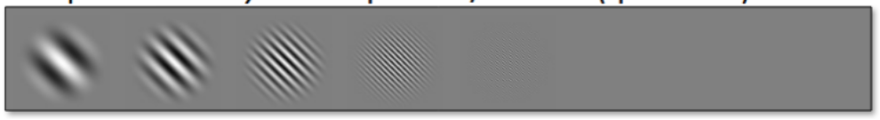 <p>The range of patterns a person can see (the narrowing of the lines).</p>