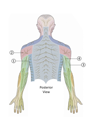 <p>1</p>