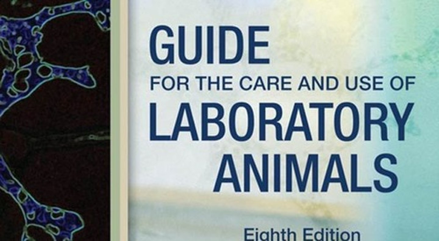 <p>Primary reference for lab animal care and use reference</p>