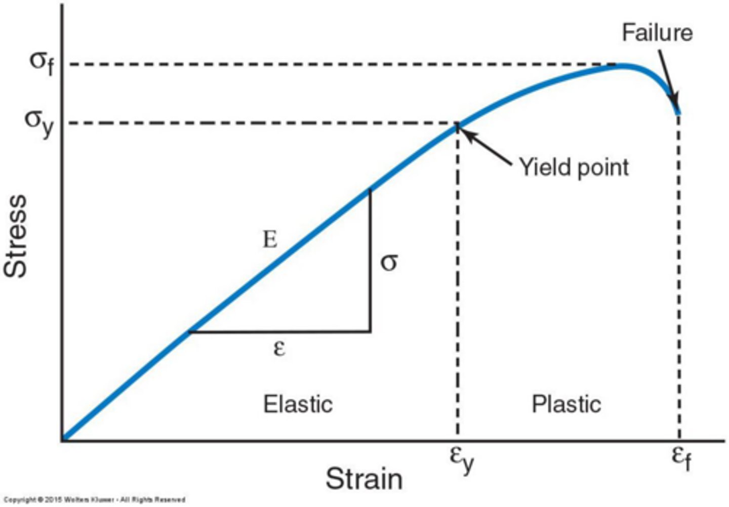 <p>The linear portion of the curve where, if stress is removed, the material returns to its original state.</p>