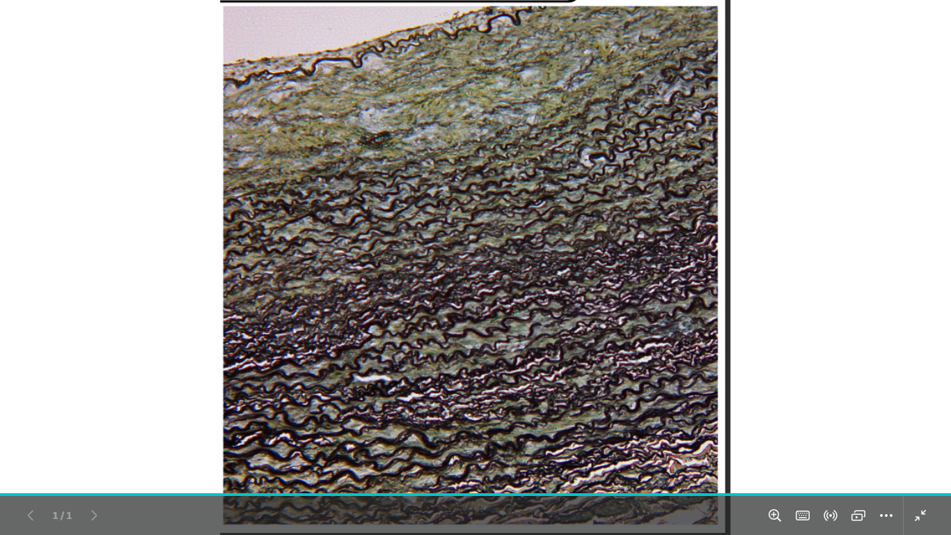 <p>identify </p><p>mention one site </p><p>mention the stain </p>