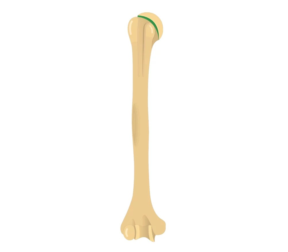 <p>What is this?</p>