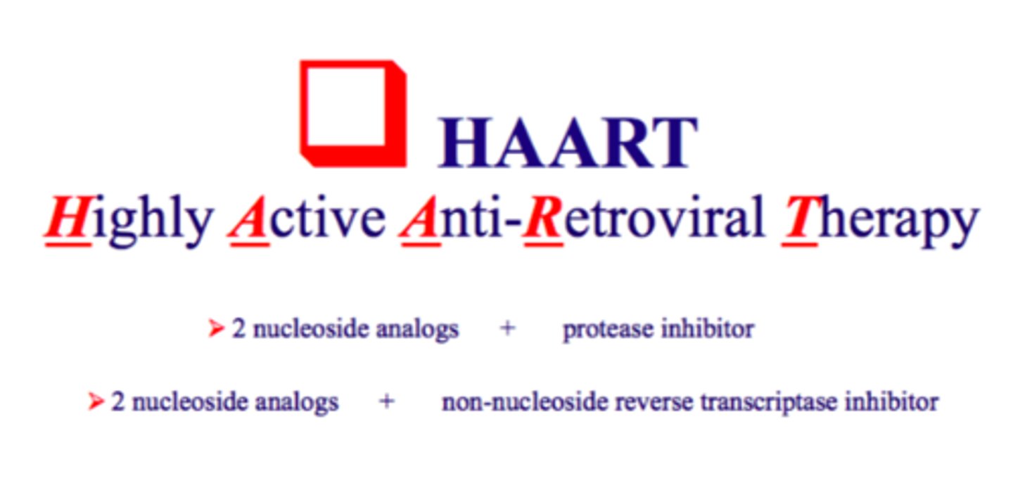 <p>highly active antiretroviral therapy- use of combinations of drugs (e.g. RT, protease, integrase inhibitors) that are effective against AIDS</p>