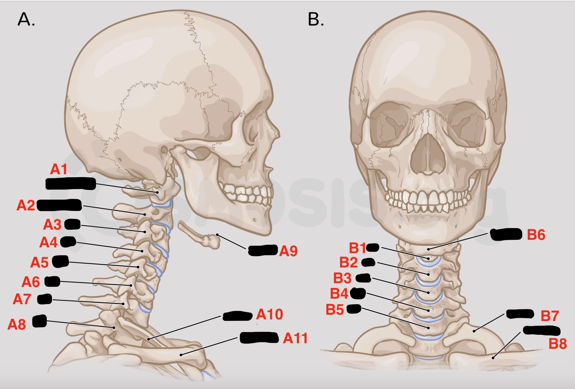<p>A8</p>