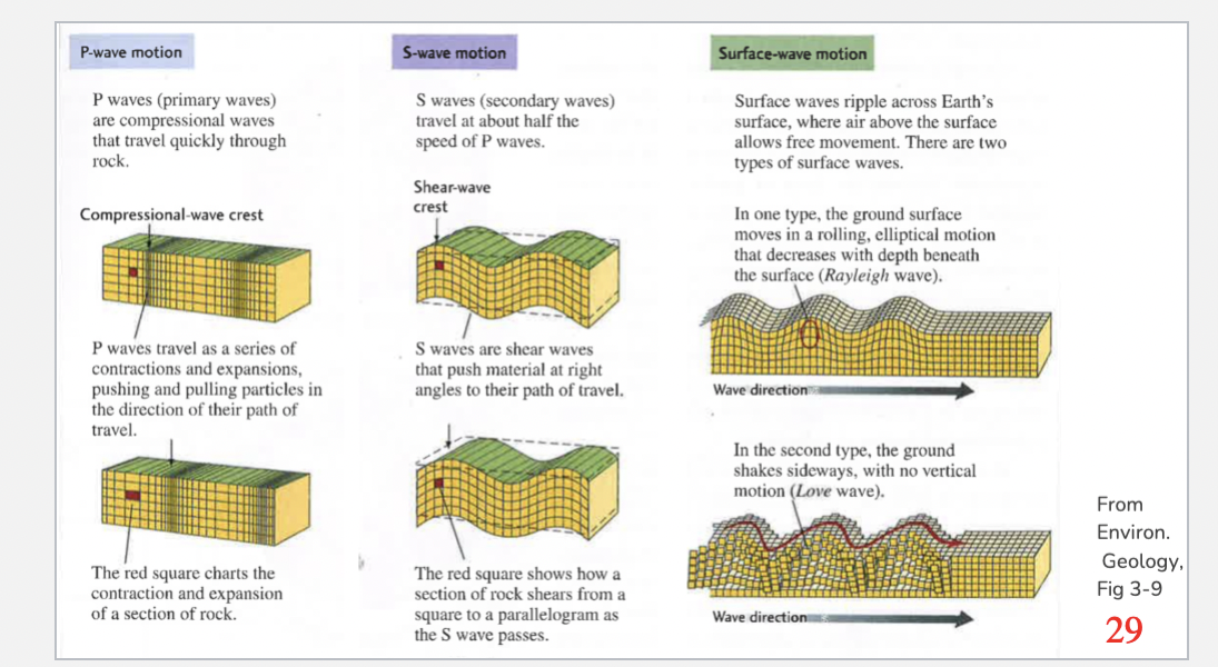 <p><span>Explain the types of seismic waves and how they propagate</span></p>
