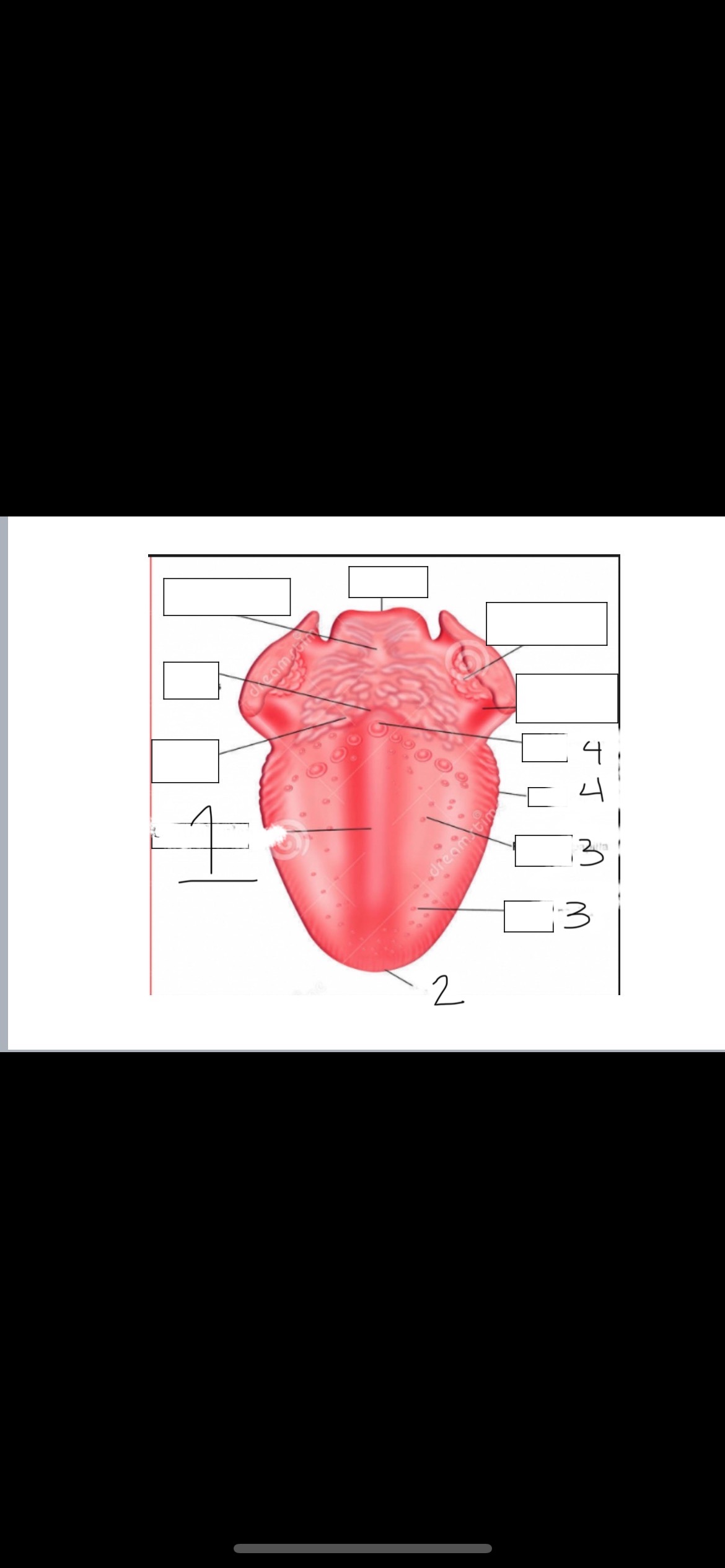 <p>1</p>