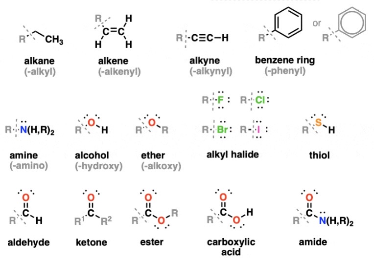 <ul><li><p><span>The chlorine free radical reacts with the alkane to form hydrogen chloride and an alkyl free radical</span></p></li><li><p><span>The alky free radical keeps reacting with molecules of chlorine to form another chlorine free radical and an alkyl halide</span></p></li></ul><p></p>