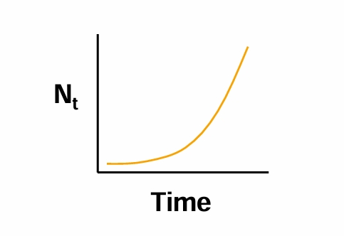 <p>Plot population size, <strong>N</strong>, against<strong> t</strong>, time</p><ul><li><p>Population Size <strong>increases </strong>with time and makes a <strong>J-shaped Curve of exponential growth</strong></p></li></ul><p></p>
