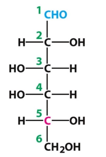 <p>D-galactose</p><p>Aldose</p>