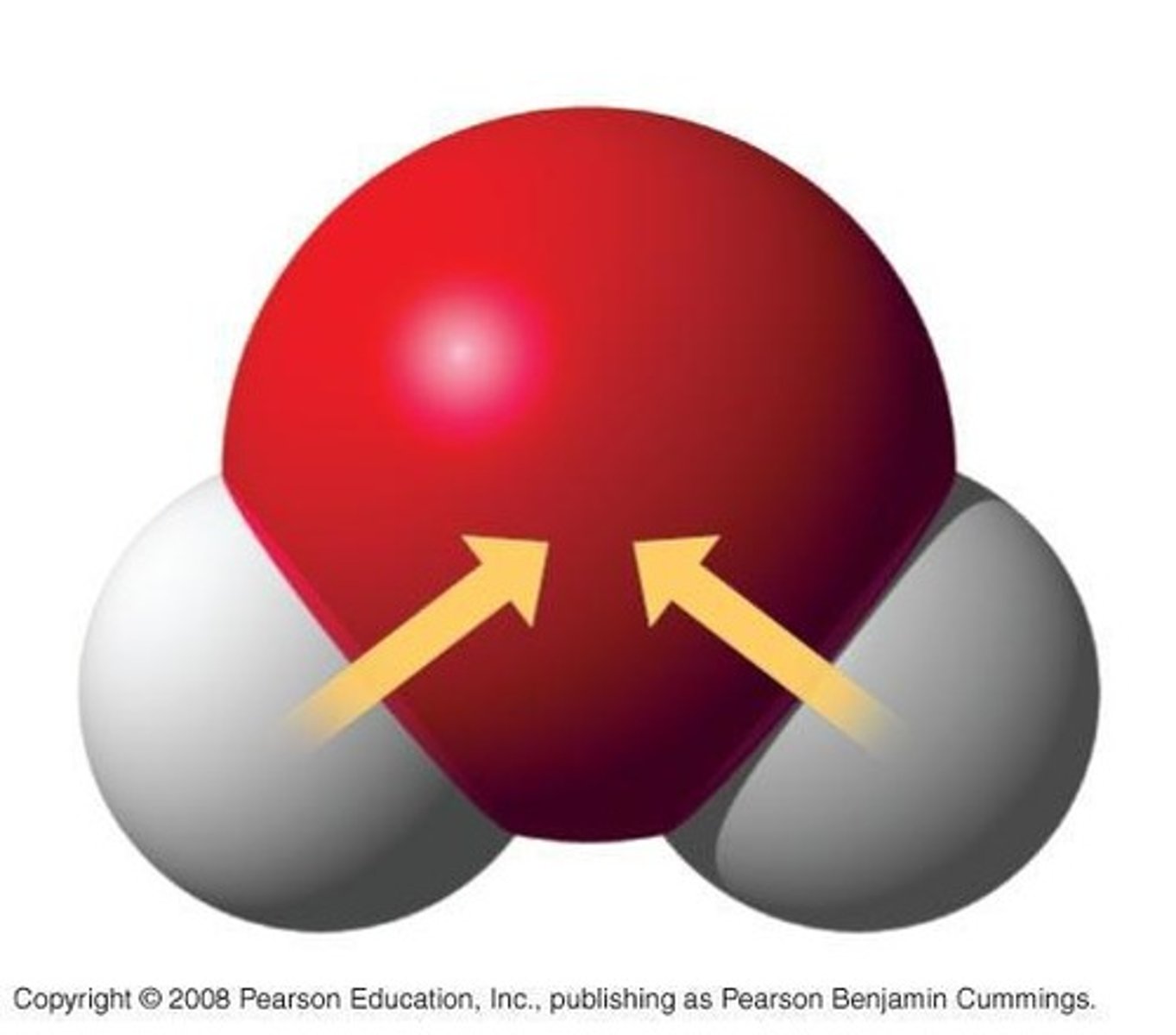 <p>Water can form hydrogen bonds with other molecules due to the polarity of the hydroxyl groups.</p>