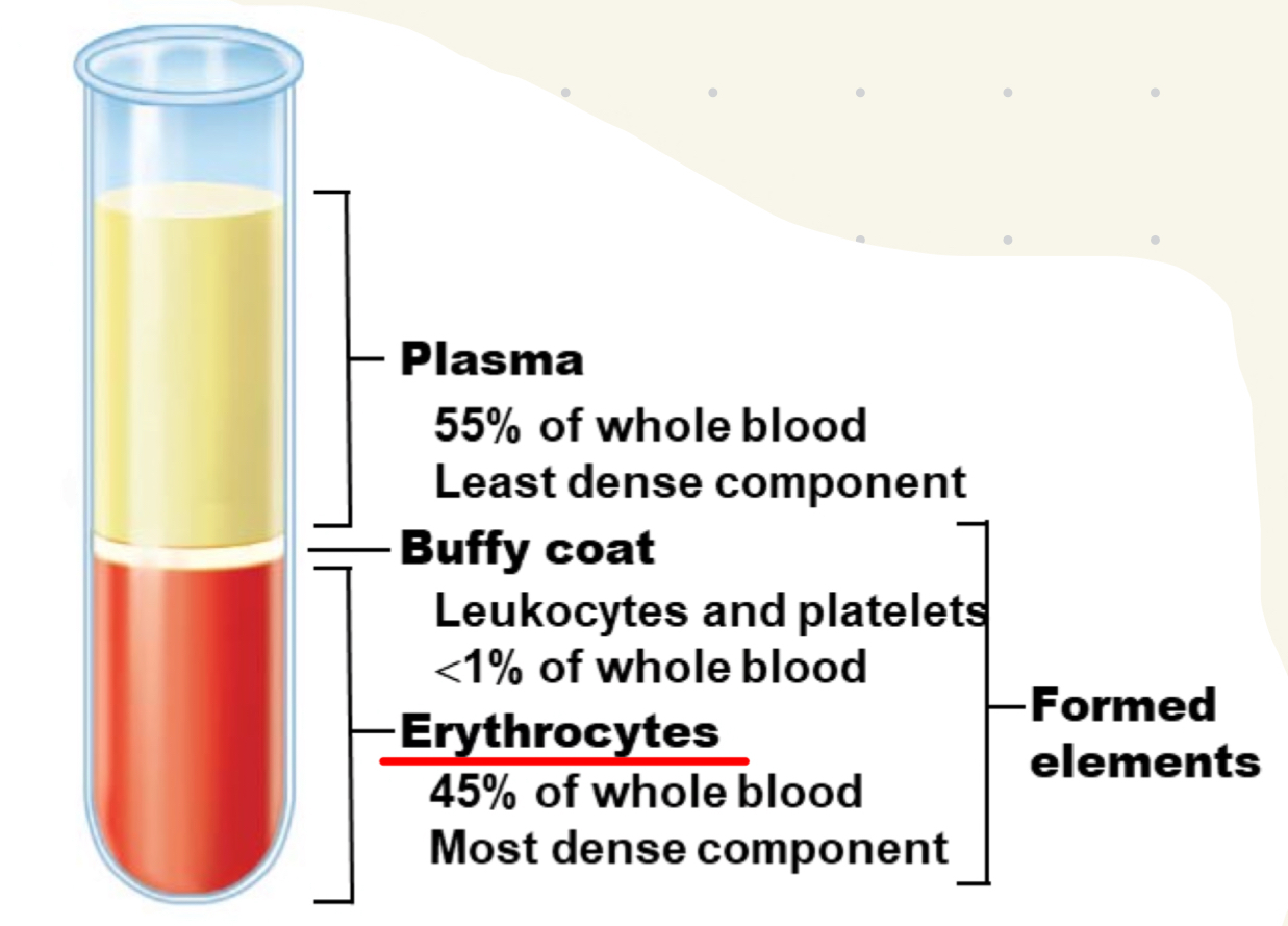 <ul><li><p>plasma</p></li><li><p>Buffy coat</p></li><li><p>erythrocytes</p></li></ul>