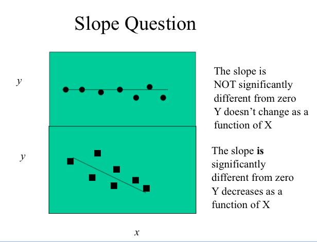 <ul><li><p>Ask if the slope of the line (b1) is statistically significantly different from 0</p></li><li><p>Ask if the intercept (b0) is significantly different from zero</p><ul><li><p>Regression will start at a number far from zero because of intercept</p></li></ul></li></ul>