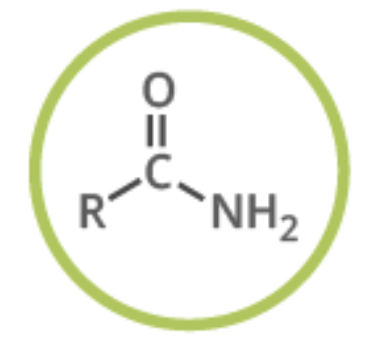 <ul><li><p>Carbonyl compound</p></li><li><p>Naming -amide </p></li></ul><p></p>