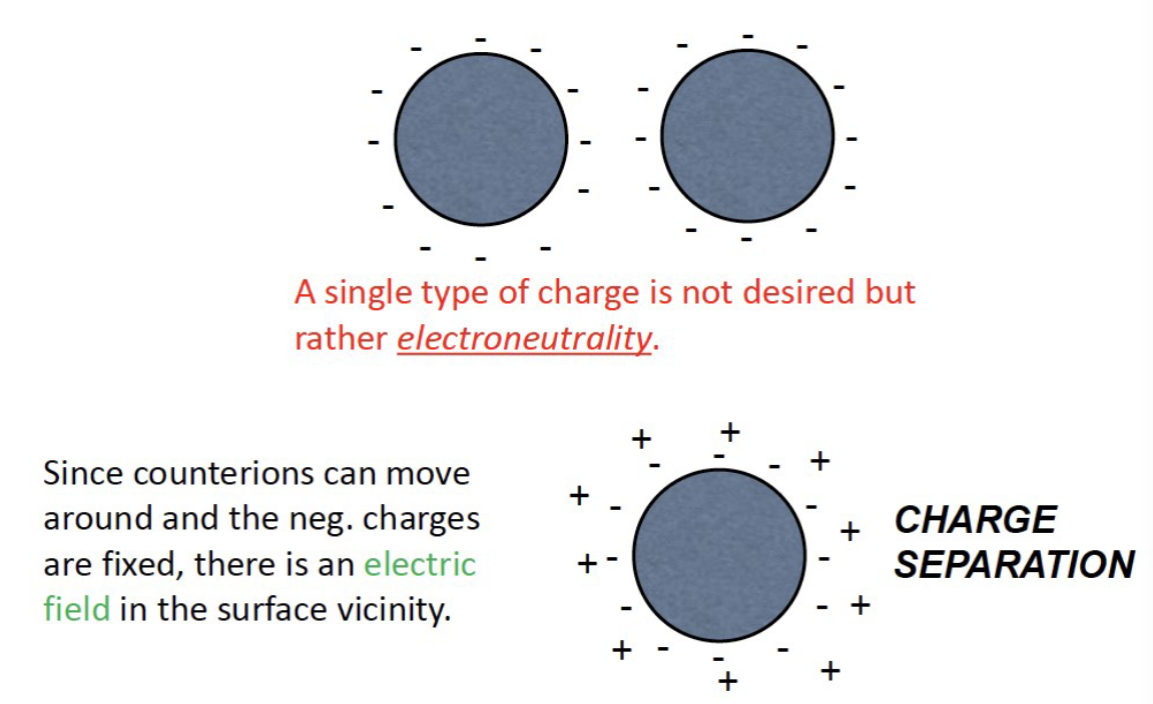 <p>Since counter ions can move around it can go around and “neutralize“ the dominant charge</p>