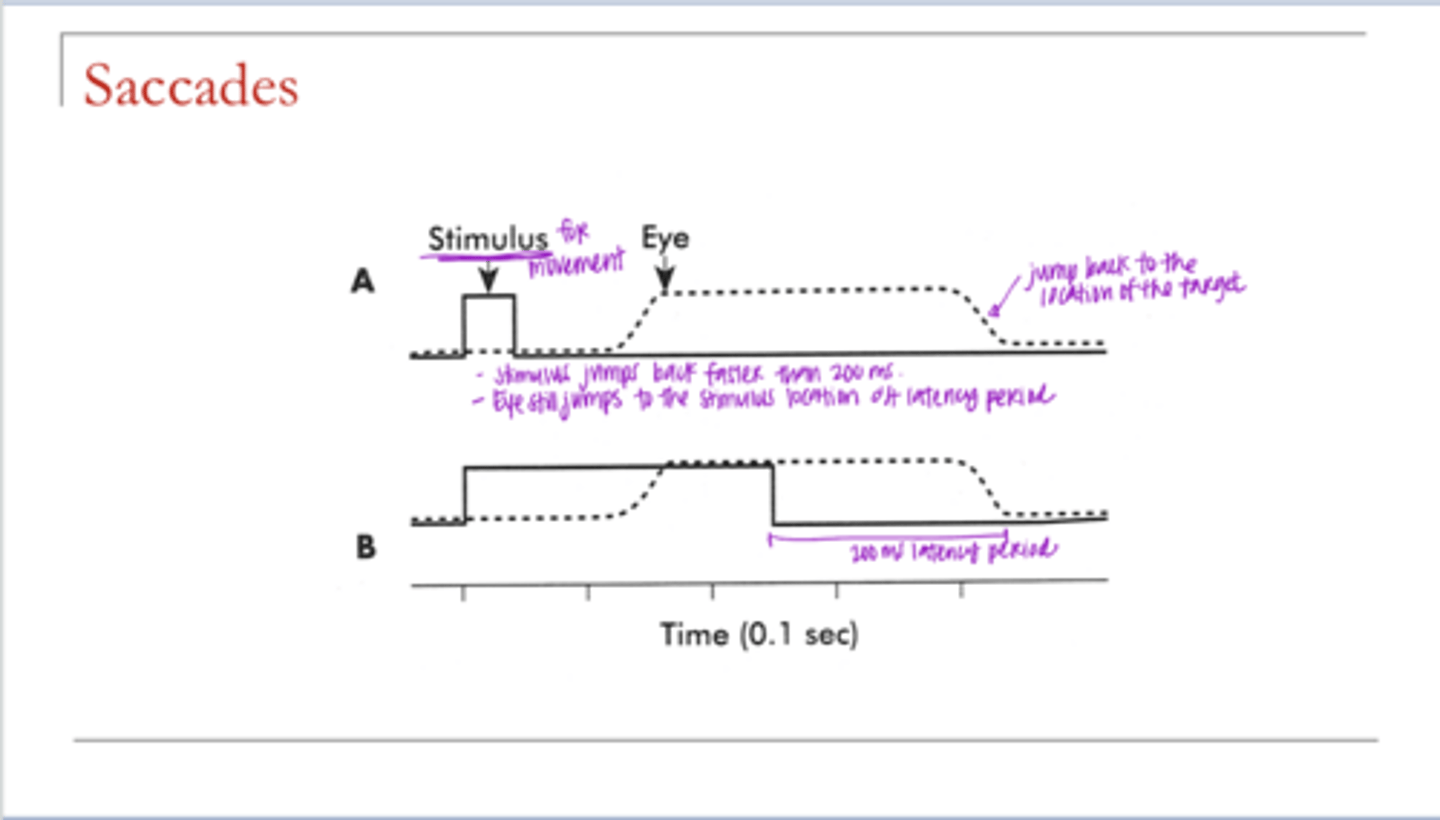 <p>Saccades in Response to a Moving Target (Pic)</p>