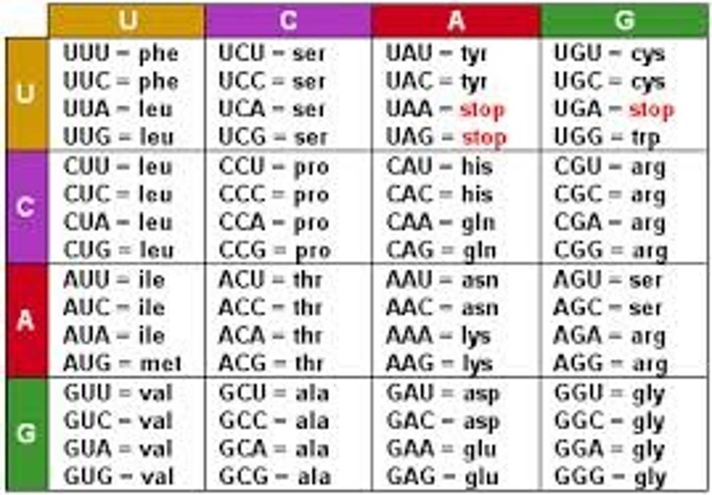 <p>- genetic code</p><p>- more than 1 codon can specify a single AA (except Met and Try)</p><p>- allows for mutation in DNA that doesn't always result in altered protein structure or fucntion</p>