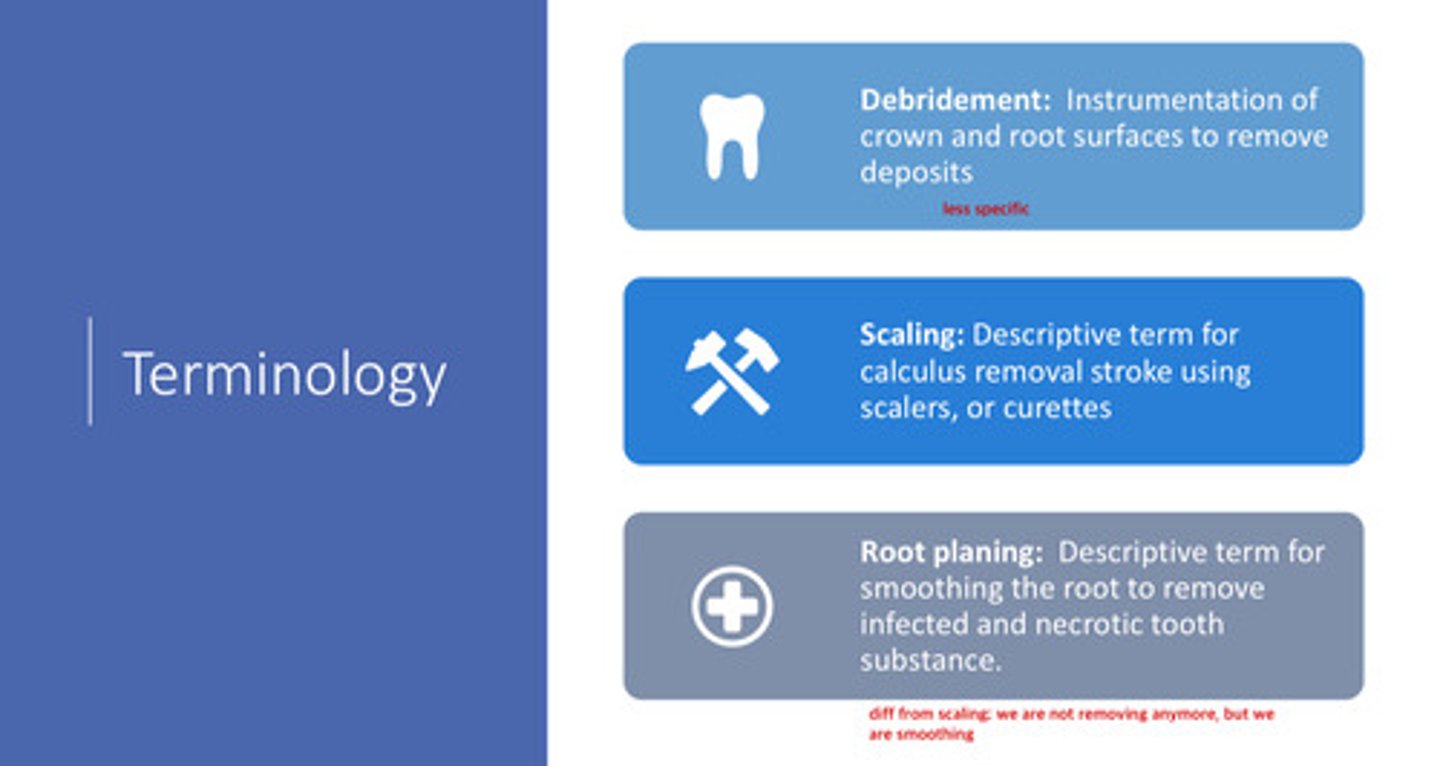 <p>the descriptive term for smoothing the root to remove infected and necrotic tooth substance (this is diff from scaling, we are not removing anymore, but rather smoothing)</p>