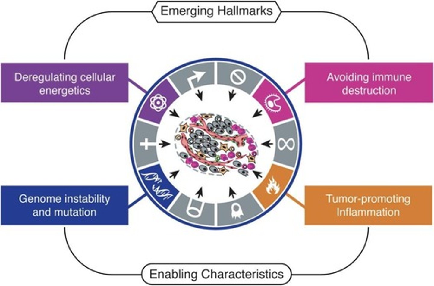 <p>Genome instability and inflammation.</p>