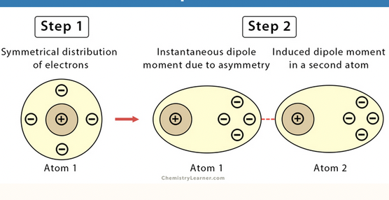 <p>the weakest type of intermolecular force present in all molecules, resulting from temporary shifts in electron density, particularly significant in non-polar molecules</p>