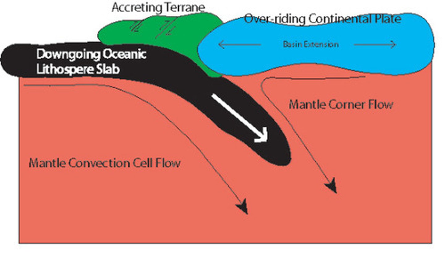 <p>process by which fragments of tectonic plates are added to continent at a plate tectonic boundary (continental growth)</p>