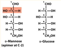 <p>D-Glucose and D-Mannose are epimers at?</p>