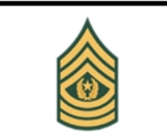 <p>Army E-9</p>