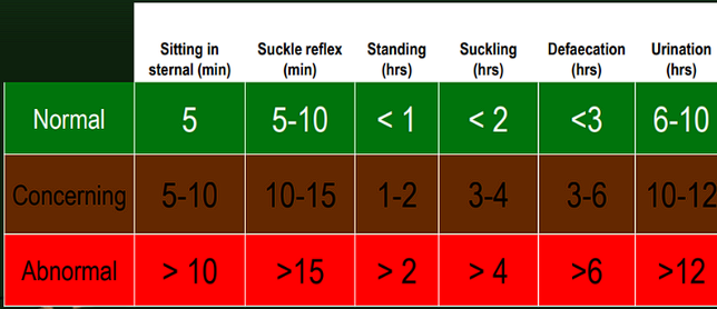 knowt flashcard image