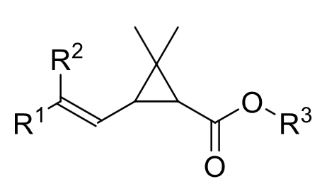 <p>(herken)</p><p></p><p>cyclopropaanring met op de 3 C’s: </p><ul><li><p>2x methyl</p></li><li><p>koolstof met daarna een dubbele binding</p></li><li><p>ester</p></li></ul><p></p>