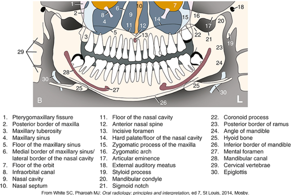 <p>what is #3</p>