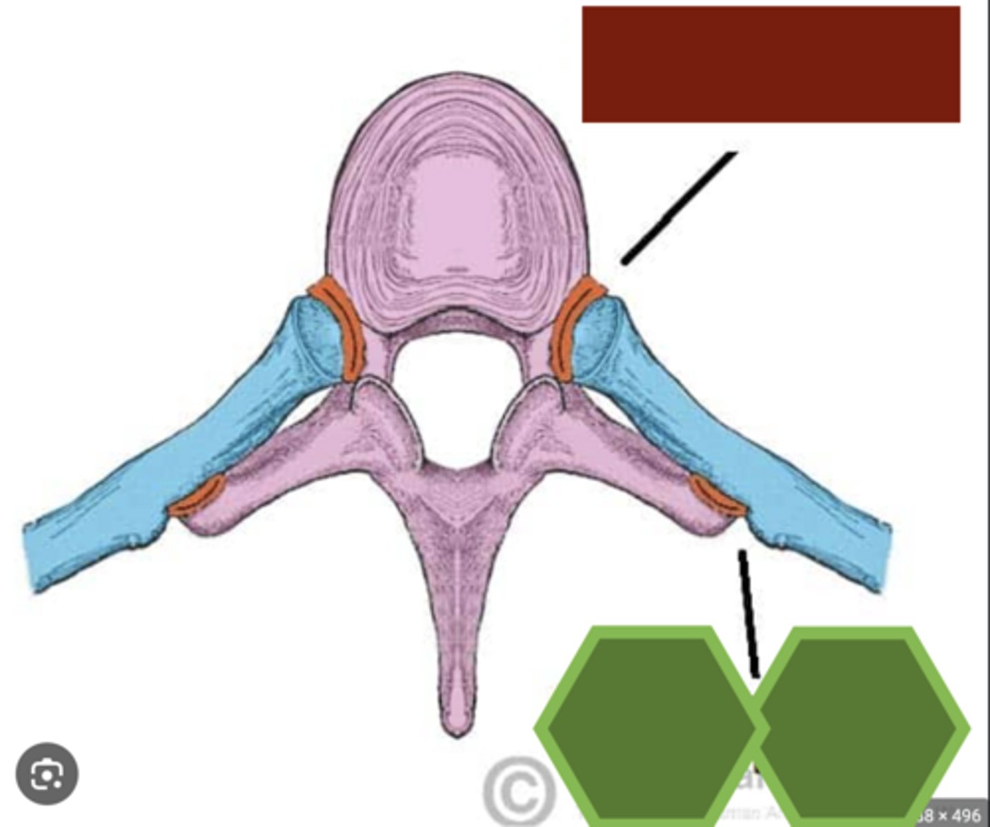 <p>Indicated by red box</p>