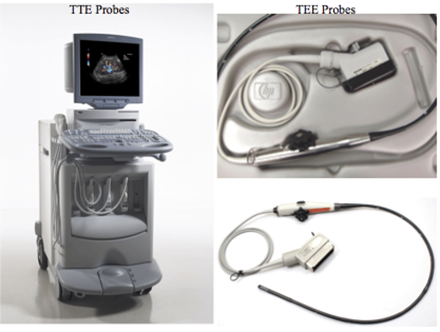 <p>assessing the hearts function</p>