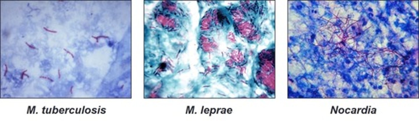 <p>These are examples of</p>