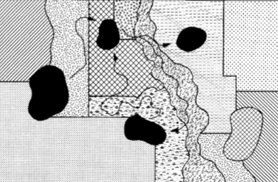 <p>patch-mosaic view</p>