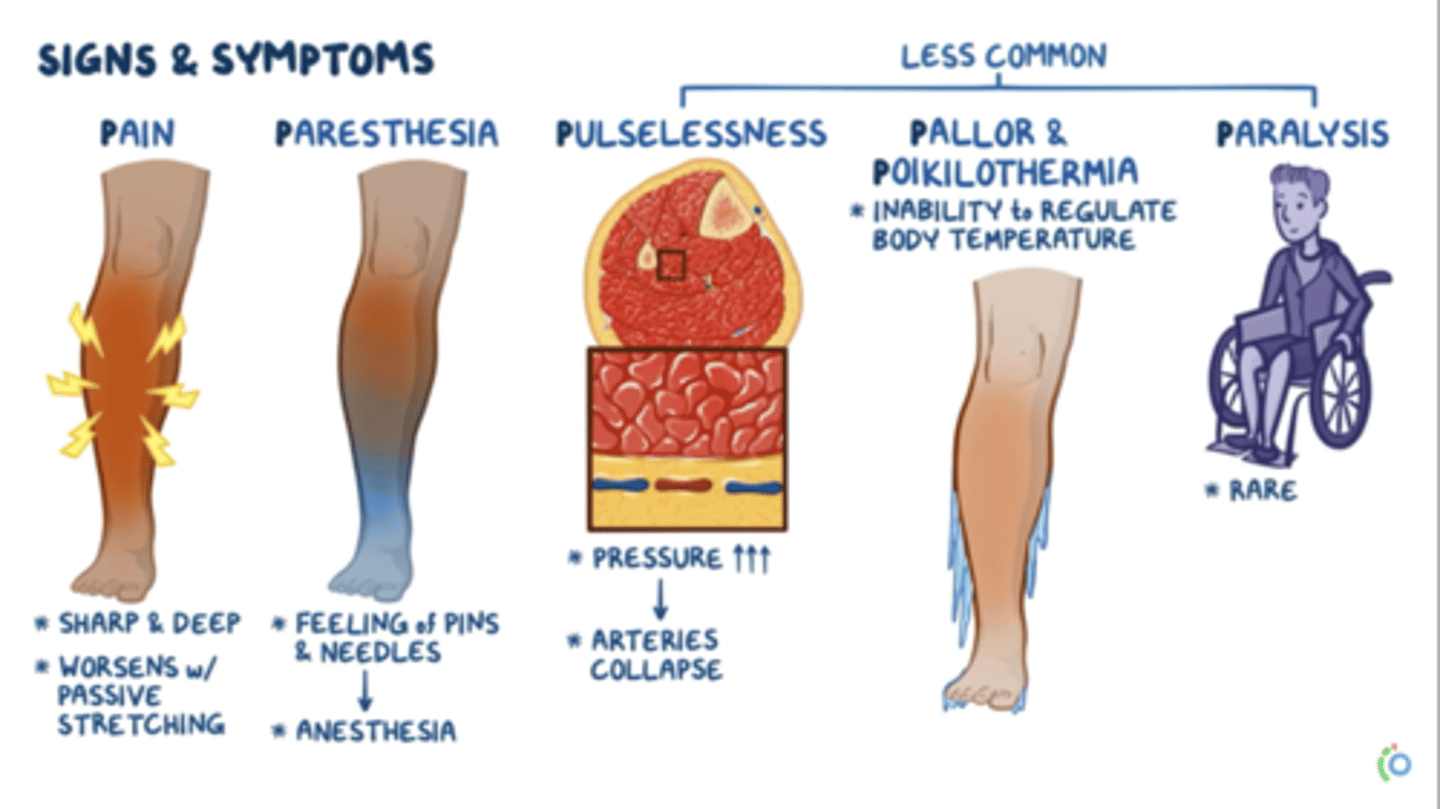 <p>6P-Pain,Pallor,Pulselessness,Paralysis,Pressure,Paresthesia + poikilothermia</p>