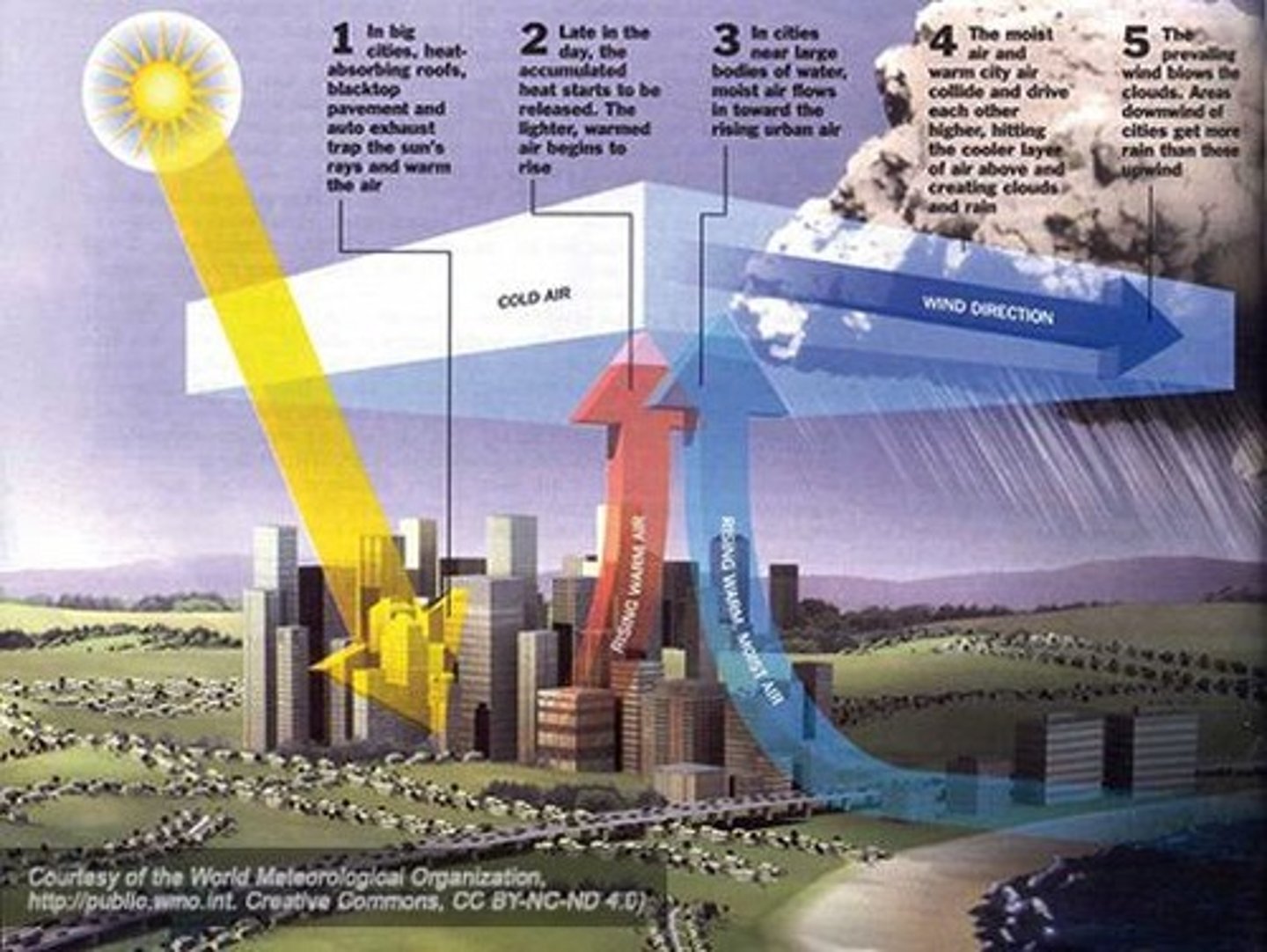 <p>It refers to urban areas being significantly warmer than their rural surroundings due to human activities.</p>