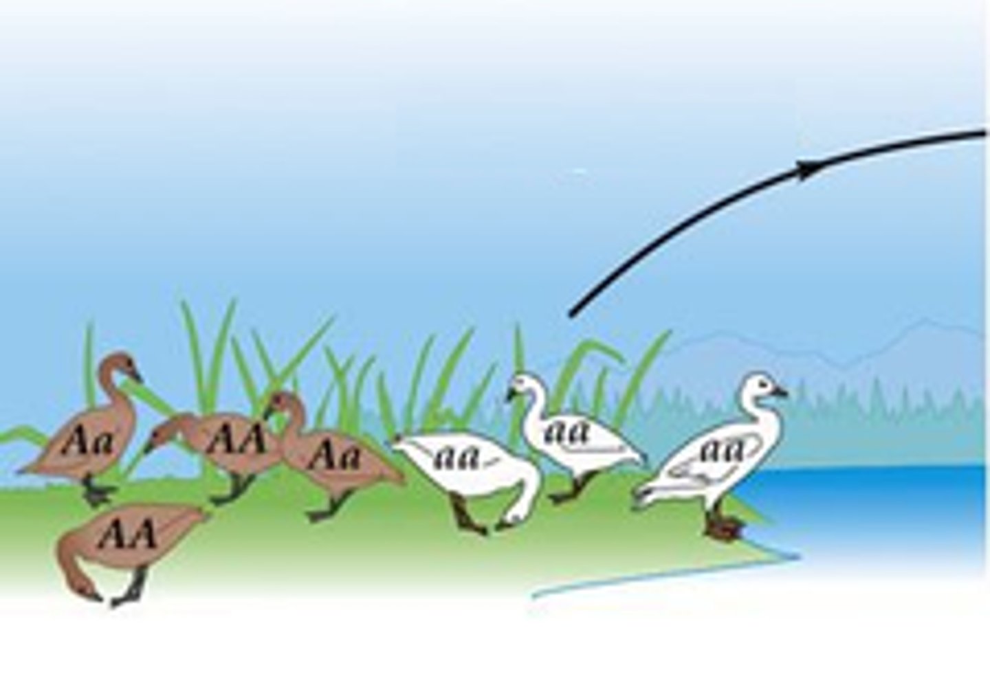 <p>movement of individuals out of a population</p>