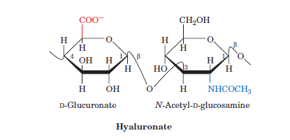 <p>Carbohydrate monomer</p>